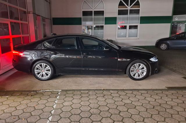 Jaguar XF 30d 300PS R-Sport Automatik