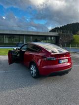 Tesla Model Y AWD Dual Motor - Top Zustand