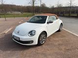 Volkswagen VW Beetle Cabrio Karman - Volkswagen Beetle in Duisburg