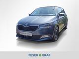 Skoda Fabia Clever 1,0l TSI DSG * - Skoda Fabia in Wiesbaden
