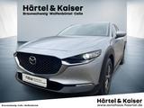 Mazda CX-30 2.0 SKYACTIV-X M Hybrid Selection 2WD NAVI - Mazda CX-30 Gebrauchtwagen