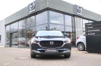 Mazda CX-30 - Vorschau Bild 2