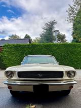 Ford Mustang - Ford Mustang aus 1966: Coupe