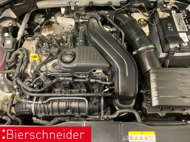 Volkswagen T-Roc - Bild 19