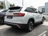 Skoda Kodiaq Selection 2.0 TDI DSG 4x4 FLA 4xSHZ DynLi - Skoda Kodiaq aus 2025