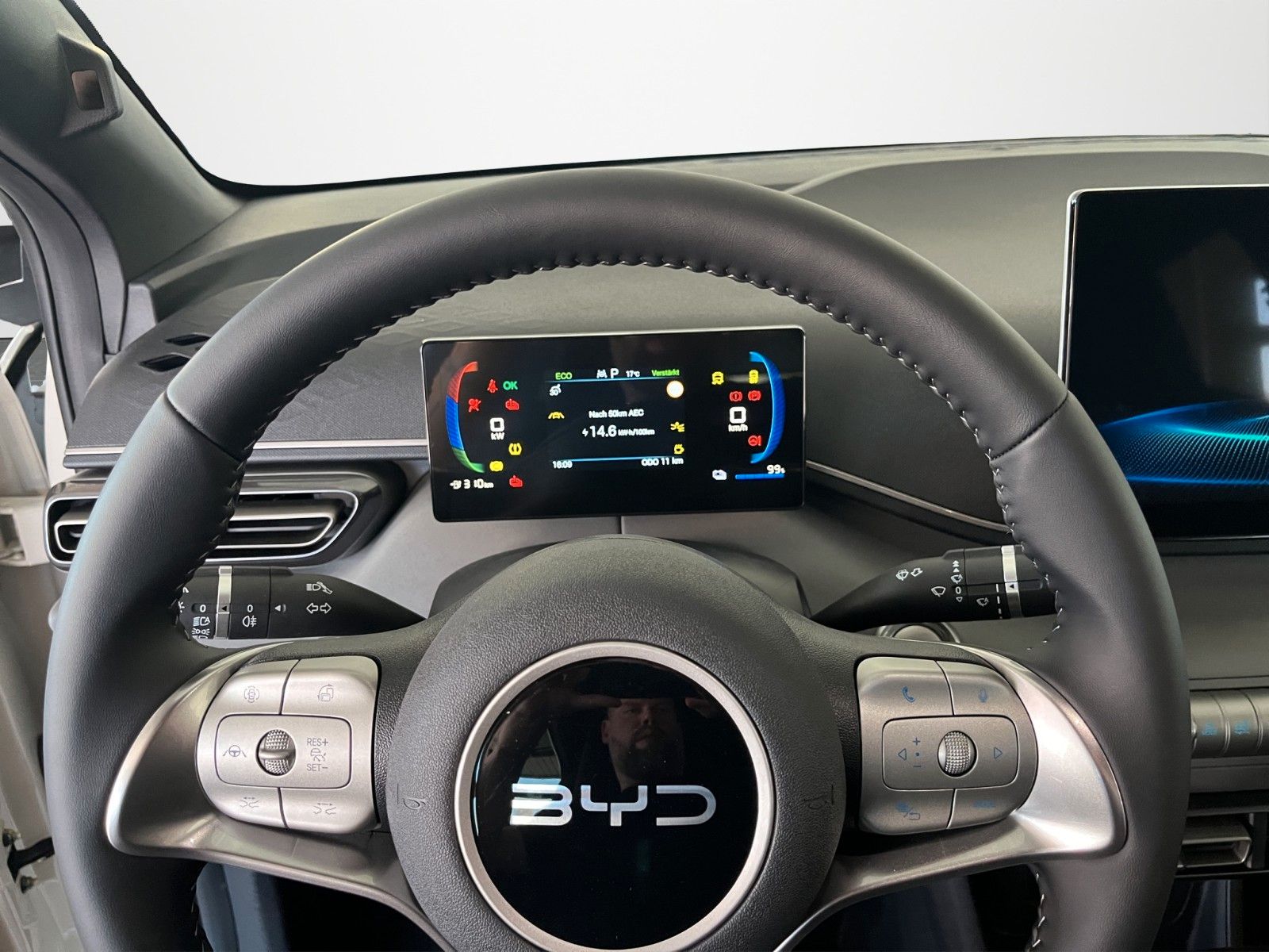 BYD DOLPHIN SURF