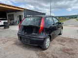 Fiat Punto 1.2*TÜV NEU* - Fiat Punto aus 2002