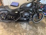 Harley-Davidson Sportster 883 XL Iron - HARLEY-DAVIDSON 883 SPORTSTER XL IRON