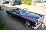 Mercedes-Benz S 250 Werkscabriolet m.Zertifikat - restauriert - : Braun, Cabrio