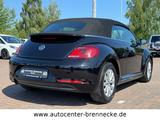 Volkswagen Beetle Cabriolet Design BMT*Allwetter* - Cars in Magdeburg