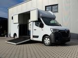 Renault Master 3-Sitzer Pferdetransporter - Tier-/Pferdetransport 3 pferde
