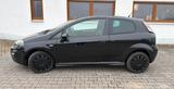 Fiat Punto Pop, City, Klima, TÜV bis 10/2027 - Fiat Punto: Schwarz