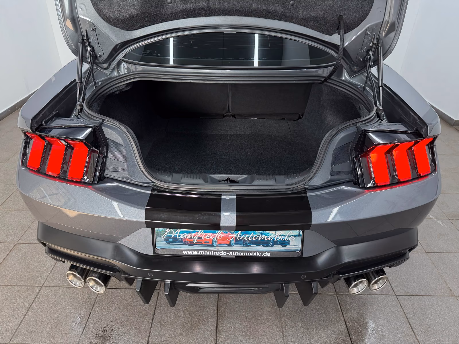 Ford Mustang Eco 2.3 Carbonized Grey/Duplex AGA/Perfo, миниатюра 12