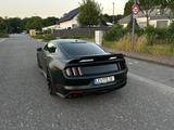 Ford Mustang GT 5.0 V8 / Shelby Optik / Top /21 Zoll  - Ford Mustang Gebrauchtwagen in Köln
