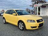 Audi A3 2.0 FSI Ambition*1.Hand*PDC*Xenon*Scheckheft* - Audi A3 aus 2004: 2.0