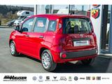 Fiat Pandina ICON Hybrid 1.0 GSE TEMPOMAT PDC LANE 5- - Fiat New Panda Gebrauchtwagen