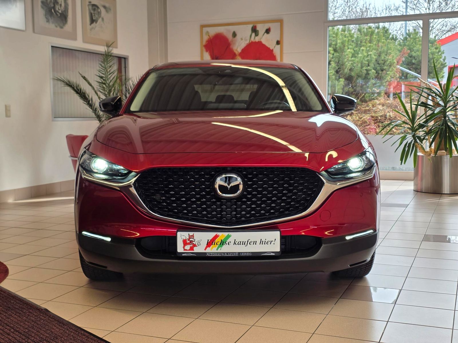 Fahrzeugabbildung Mazda CX-30 Skyactiv-X 186/Bose/DAB/Keyless/360°/Ahk