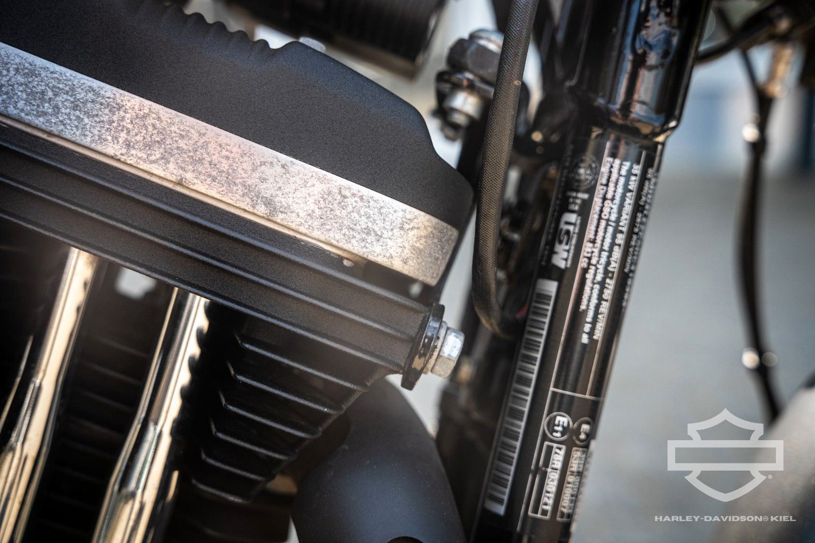 Fahrzeugabbildung Harley-Davidson XL883N IRON SPORTSTER  Umbau auf 1200ccm