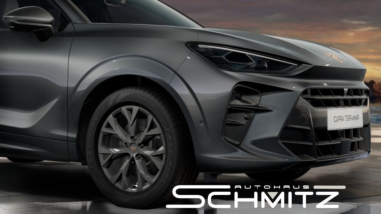 Cupra Terramar - Bild 6