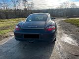 Porsche Cayman S (987) TÜV neu - Porsche: 987