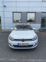 Volkswagen Golf VIl Variant Highline EXCLUSIVE!  - Volkswagen Golf: Variant Exclusive
