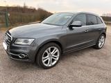 Audi SQ5 3.0 TDI   CarPlay-Android-Pano-Standhzg-21"