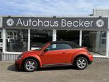 Volkswagen Beetle Cabriolet Exclusive R-Line+DSG+XENON+PDC+ - Volkswagen New Beetle: Leder