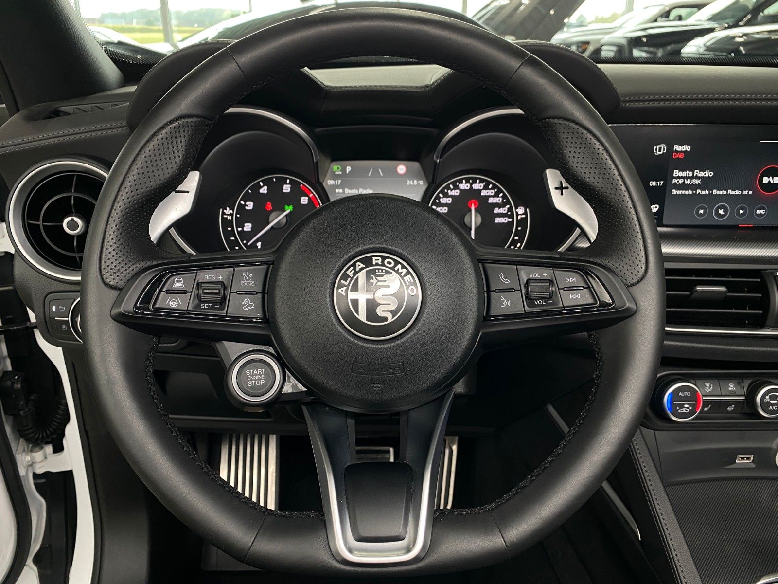 Fahrzeugabbildung Alfa Romeo Stelvio 2.0T Veloce Q4 ACC 20" Leder VOLL