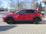 Mazda CX-30 2.5L e-SKYACTIV G 140 6MT FWD Homura - gebrauchte Mazda SUV & Geländewagen