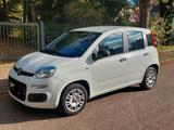 Fiat Panda EZ 04/2019*11.917 km*HU 5/2026 - Fiat Panda in Hamburg