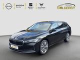 Skoda Superb Combi Selection 1.5 TSI mHEV DSG SHZ Kame - Skoda Superb Tageszulassungen