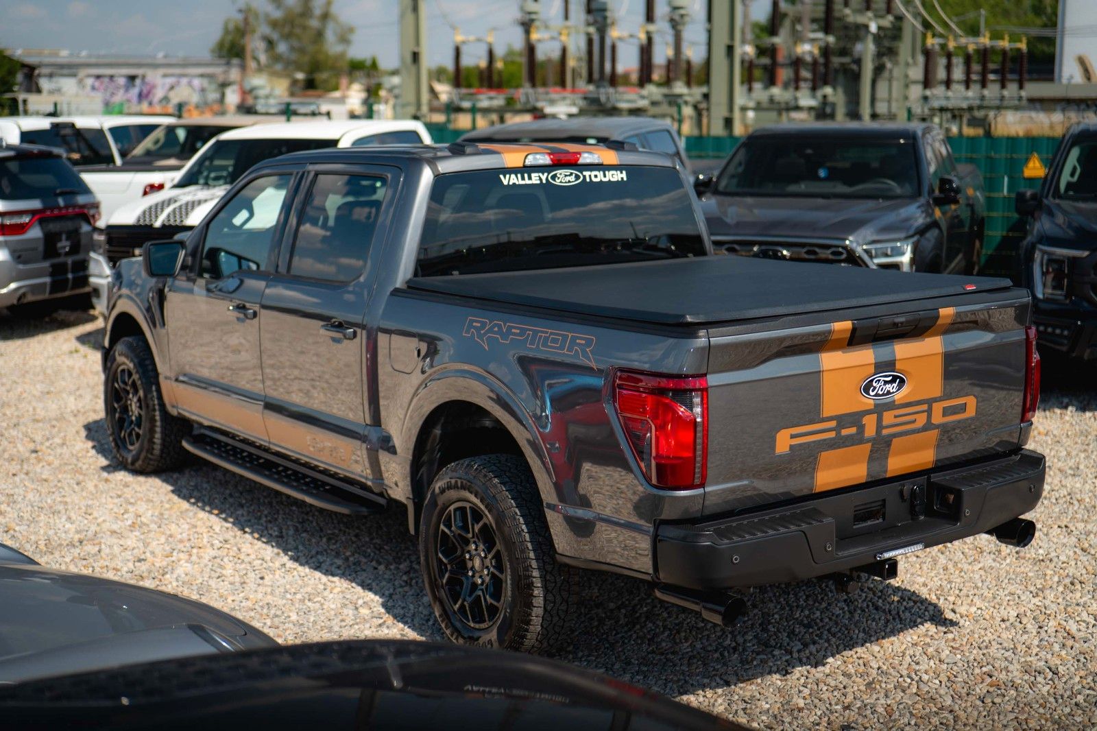 Fahrzeugabbildung Ford F150 5.0L V8 4x4 Offroad SuperCrew RAPTOR 19%