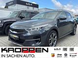 Kia XCeed Platinum Leder Pan.-Dach Kam SHZ LHZ bel.S - Kia XCeed: Platinum