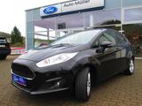 Ford Fiesta Celebration - Ford Fiesta Gebrauchtwagen in Saarbrücken