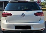 Volkswagen VW Golf 7 Allstar 64.000 TÜV Xenon Navi Kamera - Volkswagen Golf: 6.0