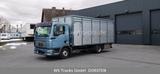 MAN TGL 10.210 1 Stock Viehtransporter - MAN Kipper