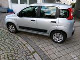 Fiat Panda 1,2 8V Easy Italy 1 Hand - Fiat: It