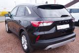 Ford Kuga 1.5 EcoBlue Titanium Aut. Navi Kamera AHK - Ford Kuga aus 2023