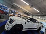 Ford SHELBY F150 Supersnake Official Shelby EU Model - Ford: Shelby
