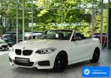BMW M235 i Cabrio *H&K *Memory *Leder *Windschutz - BMW M235 aus 2015