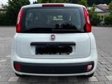 Fiat Panda 1.2  - Fiat Panda: Privatanbieter