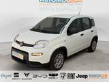 Fiat Panda BLUETOOTH DAB KLIMA MULTIFLENKRAD MP3 STAR - Fiat Panda Gebrauchtwagen in Duisburg