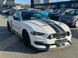 Ford Mustang 2.3 ECO SHELBY 350 OPTIK/ACC/KAMERA/LANE - Ford Mustang Gebrauchtwagen in Braunschweig