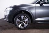 Audi Q5 2.0 TDI Quattro S-Line S-tronic*Bi-Xenon*Pano - Audi Q5 in Gelsenkirchen