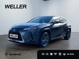 Lexus UX 250h Style Edition *LED*CarPlay*Kamera*SHZ* - Lexus in Osnabrück