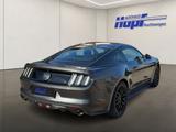 Ford Mustang Ford Mustang GT 5.0 Ti-VCT V8 - silberne Ford Mustang
