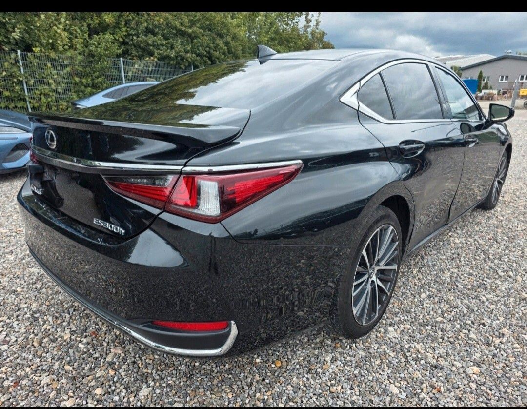 Lexus ES Hybrid Luxury imagem 3