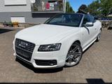 Audi S5 3.0 TFSI S tronic quattro Cabriolet - - gebrauchte Audi S5 aus dem Jahr 2010