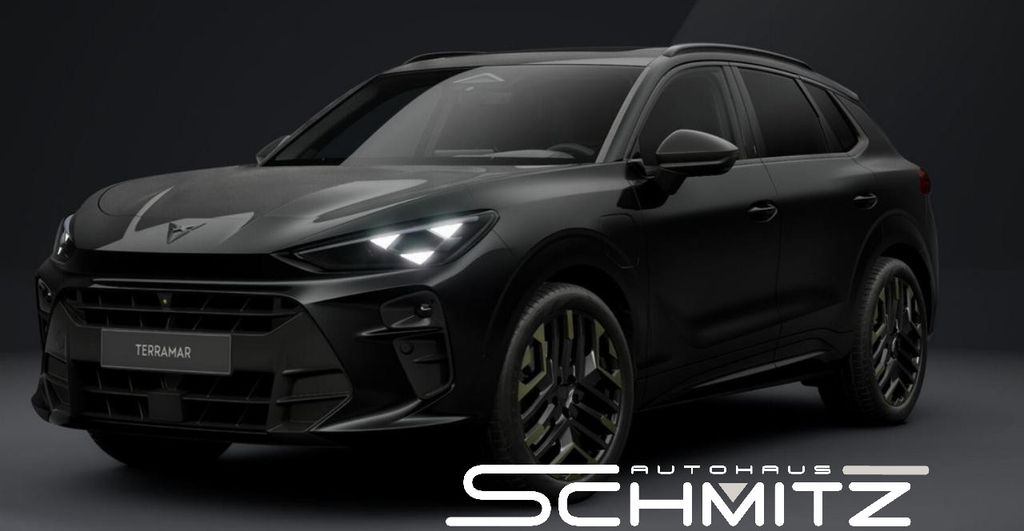 TERRAMAR VZ272 "Tribe Edition" ++AKTION L  [...]