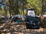 Volkswagen Summermobil T6 Wohnmobil mit Aufstelldach - Volkswagen Benzin Wohnmobil oder -wagen